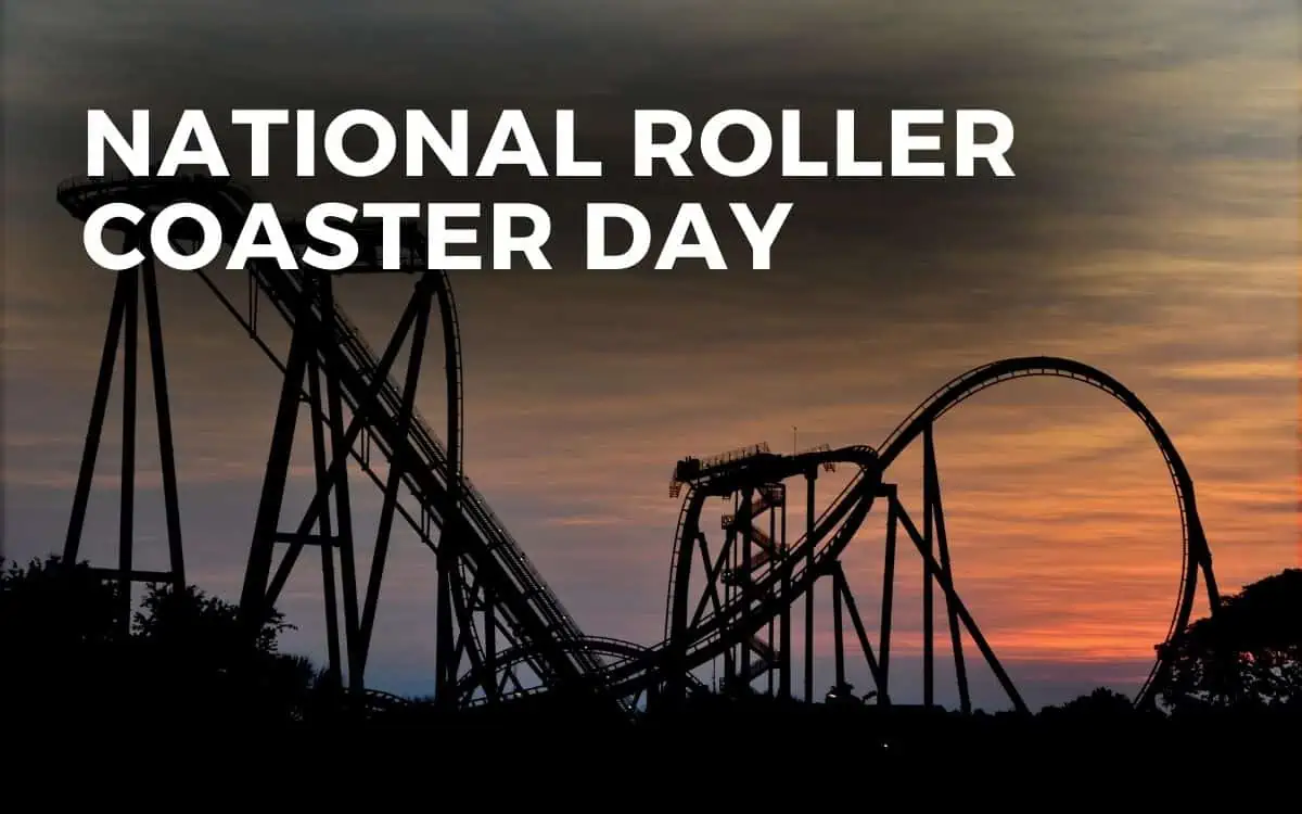 August 16th is National Roller Coaster Day #RollerCoasterDay