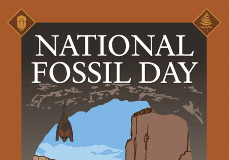 October 16 ​National Fossil Day #FossilDay
