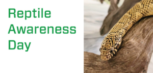 October 21 Reptile Awareness Day #ReptileAwarenessDay