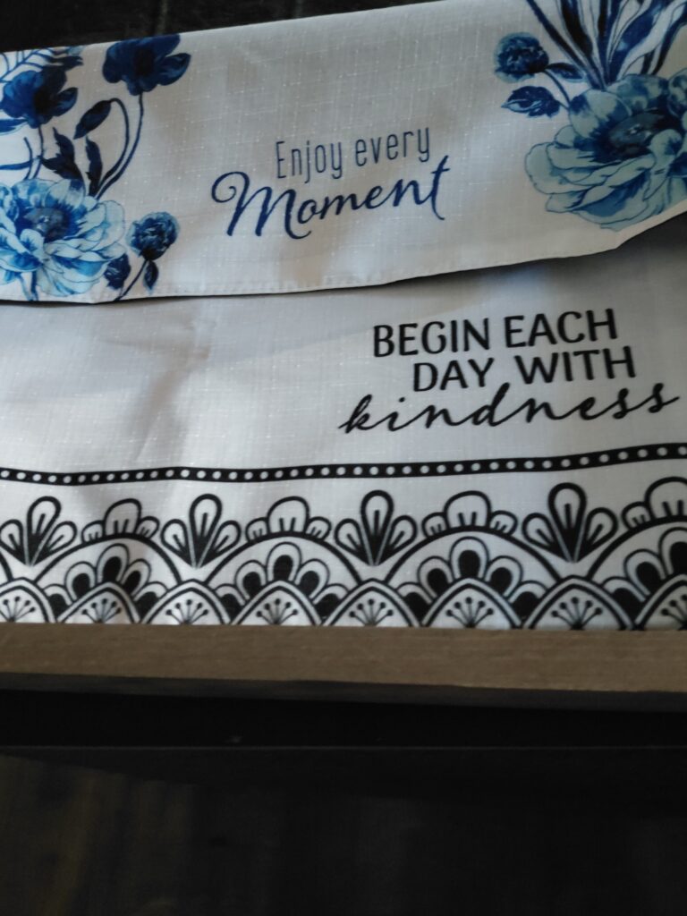 ????Dollar Tree Placemat Wall Art DIY: Easy Budget Home Decor You Can Hang in Minutes