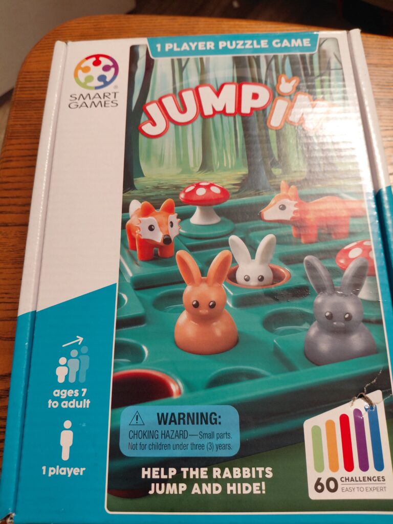 Smart Games Jump In Travel Board Game Review: A Portable Puzzle Game Kids and Adults Will Love Year-Round